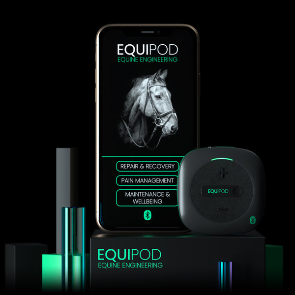 Which EquiPod Program is Right For Your Horse?