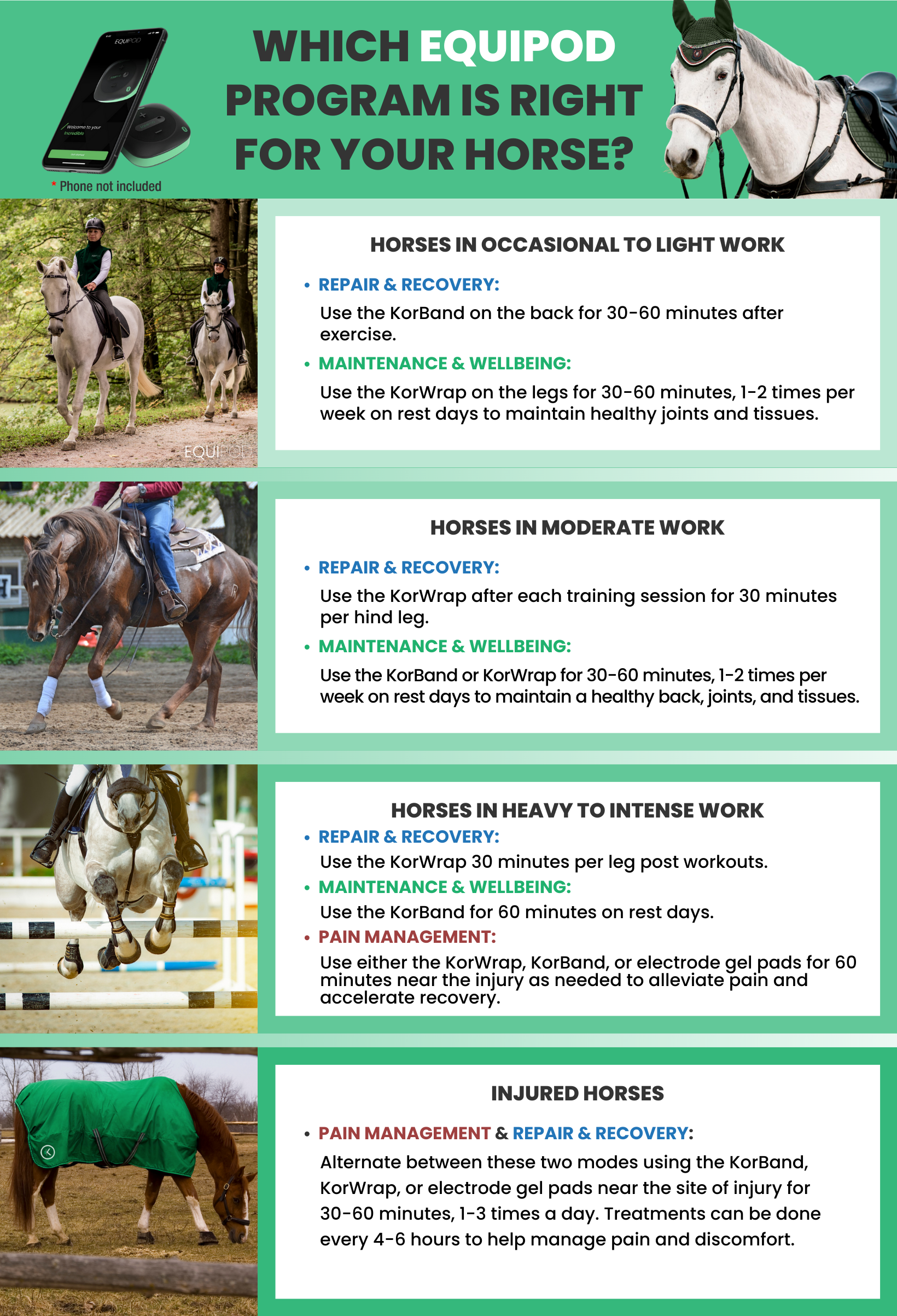 Which EquiPod Program is Right For Your Horse? - myEQUIPODUSA