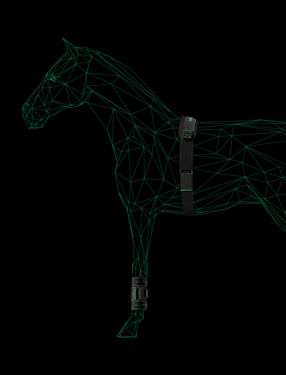 horse-gif